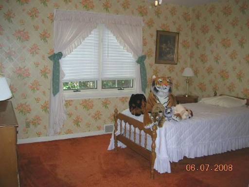 2nd Bedroom